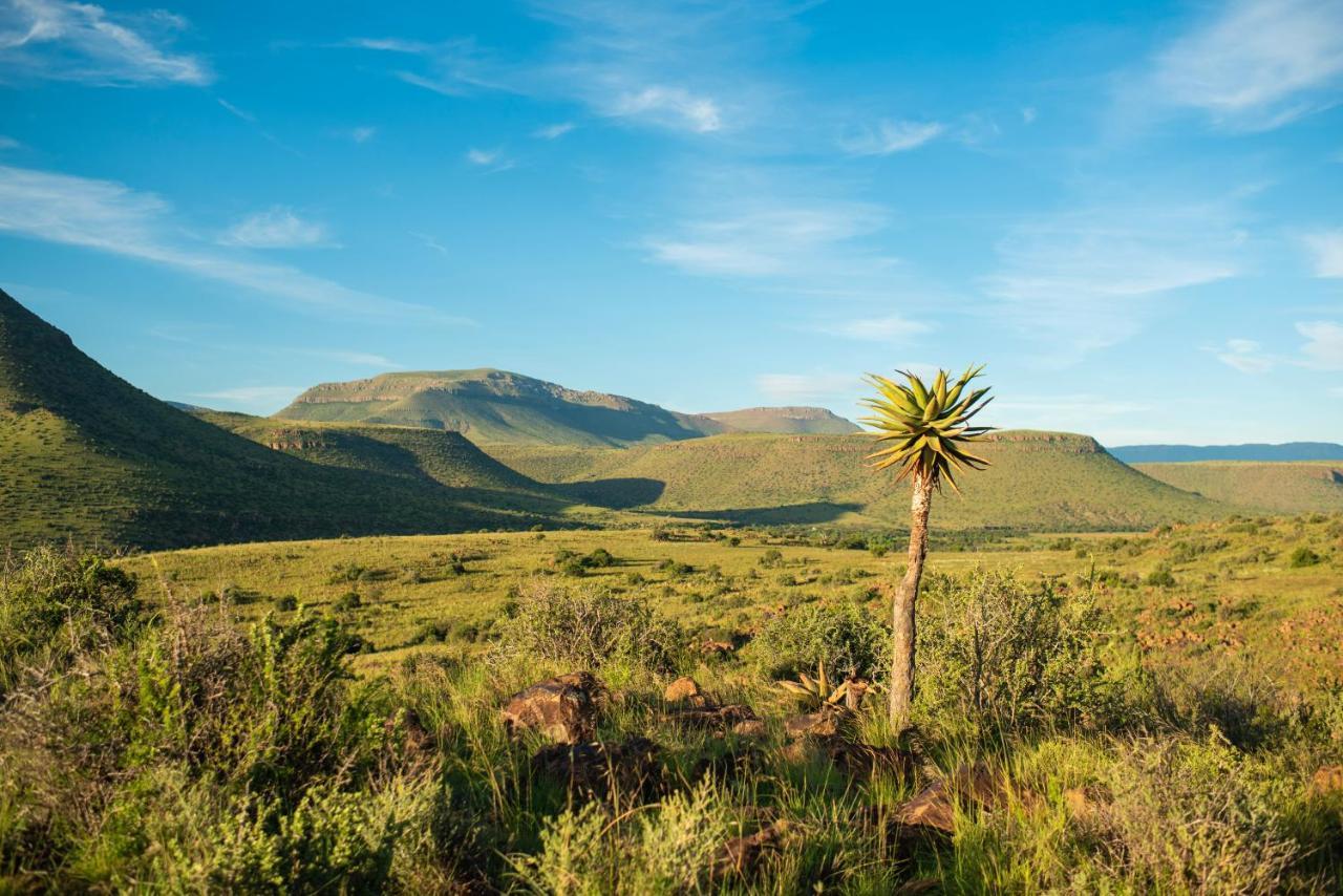Glen Harry Game Reserve Graaff-Reinet Екстериор снимка