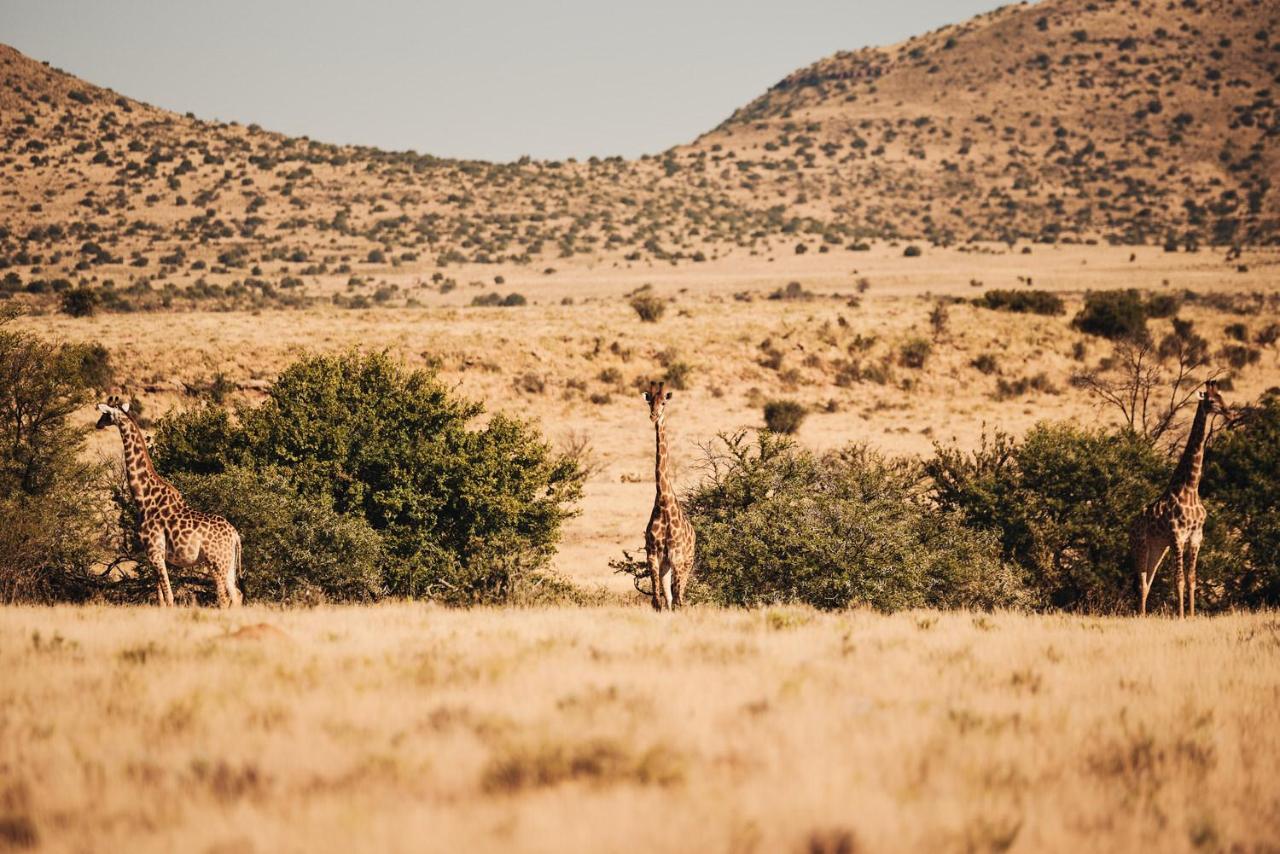 Glen Harry Game Reserve Graaff-Reinet Екстериор снимка