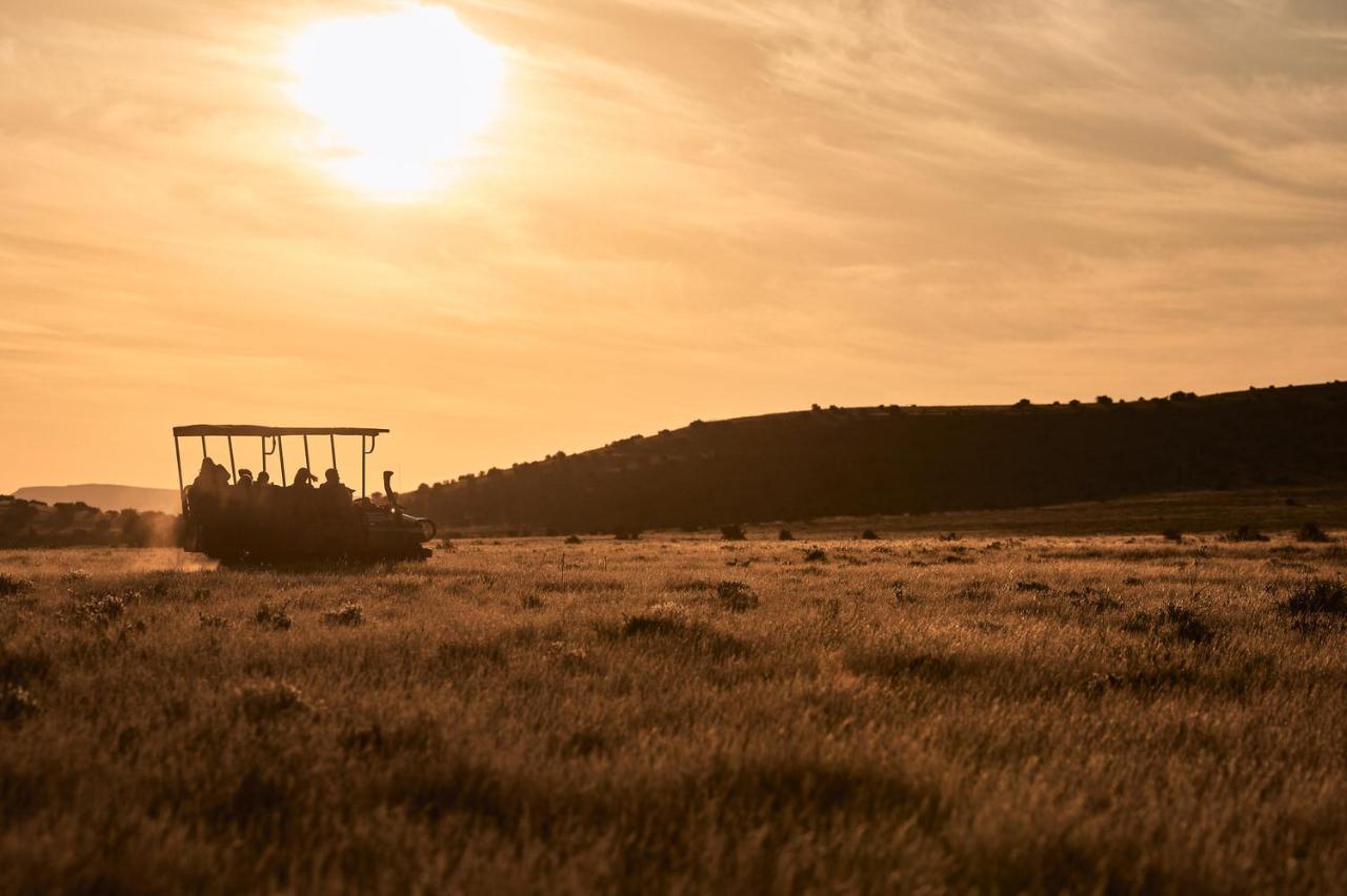 Glen Harry Game Reserve Graaff-Reinet Екстериор снимка
